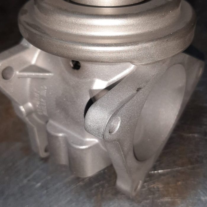 WhatsApp Image 2023-06-06 at 20.49.01